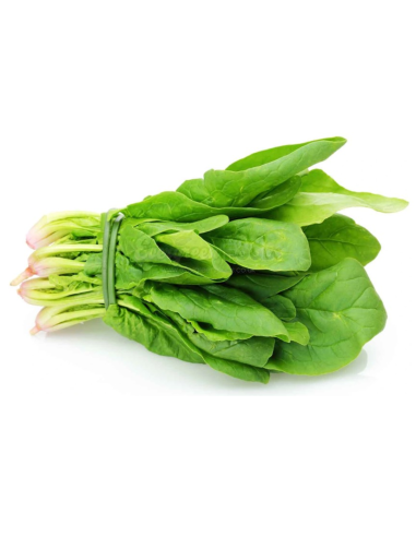 Fresh Spinach 200g x 20