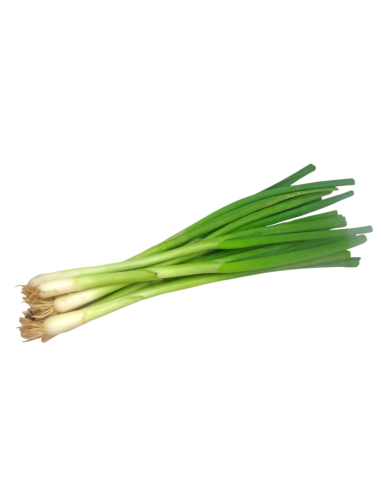 Spring Onions - 1 Batch