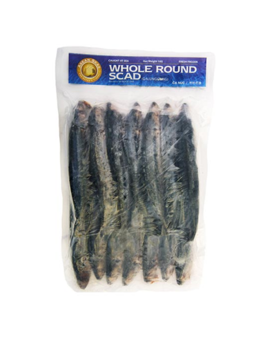 ASEAN SEAS 鲭鱼 1KG - Asean Sea - 冰鮮 ZH