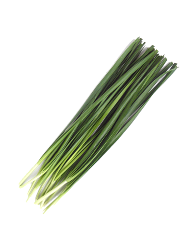 韭菜 100g -  - 新鮮 ZH