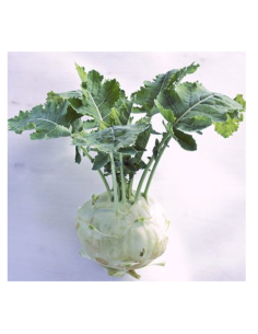 Fresh kohlrabi 1kg