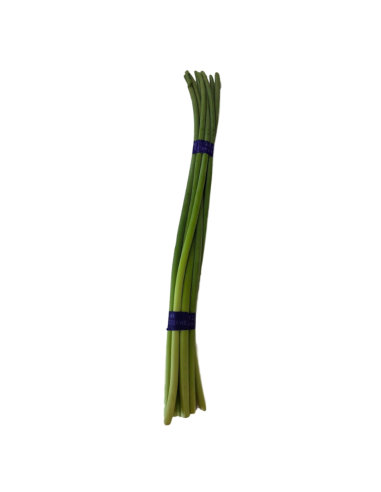 Garlic Shoot - 1 Bunch