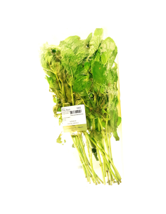 Holy Basil 100g