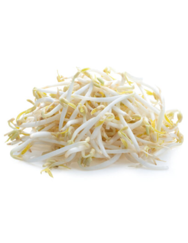 Beansprouts - 500g