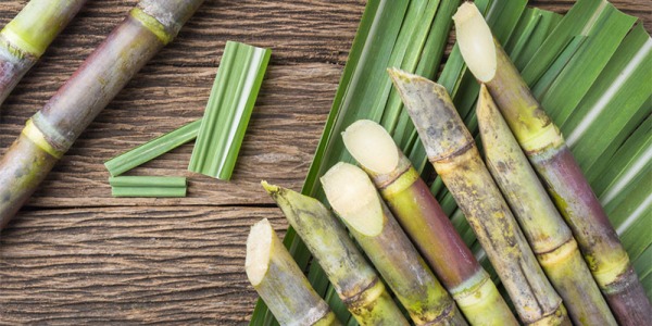 Taste the fresh fruit of Asia